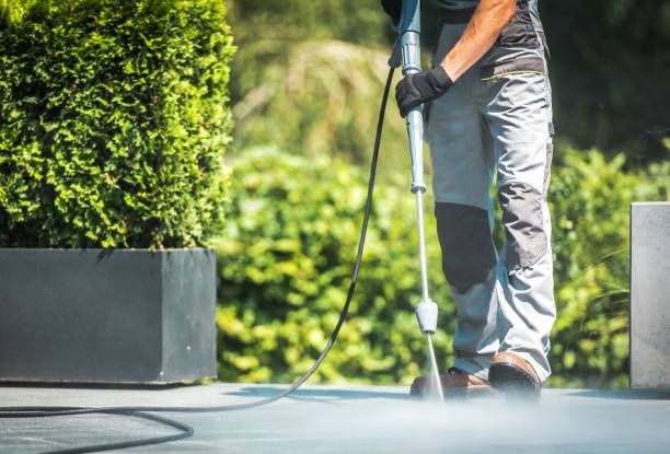Best Boat and Dock Cleaning  in Little Flock, AR